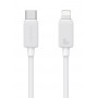 USAMS καλώδιο Lightning σε USB-C US-SJ692, 30W, 480Mbps, 1m, λευκό