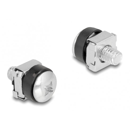 DELOCK σετ βίδες με παξιμάδια 42432 για rack, M6/16mm, ασημί, 100τμχ