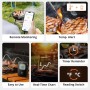 SONOFF smart θερμόμετρο barbeque BMT01 με 2x αισθητήρες, έως 300 °C, μαύρο