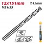 DELI τρυπάνι DL16120G για μέταλλο, M2 HSS, 12x151mm, κυλινδρικό