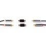 POWERTECH αντάπτορας RCA θηλυκό σε θηλυκό CAB-R021, μαύρος