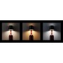 POWERTECH LED φωτιστικό για μπουκάλι HLL-0197, ρυθμιζόμενο, επαναφορτιζόμενο, μαύρο