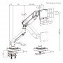 BRATECK βάση γραφείου οθόνης LDT111-C012, 17-49", έως 20kg, heavy duty