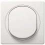 EON Alternative switch, white