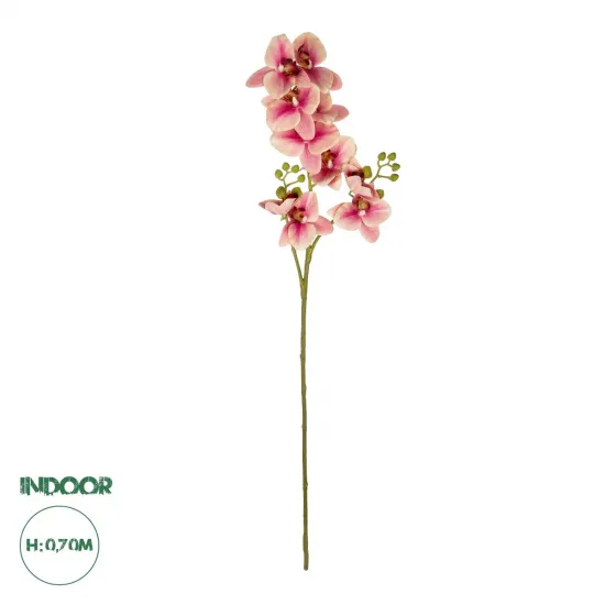 GloboStar® Artificial Garden CHAMPAGNE PINK ORCHID  BRANCH 21411 Τεχνητό Διακοσμητικό Κλαδί Σαμπανί - Ροζ Ορχιδέα Y70cm