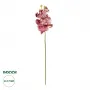 GloboStar® Artificial Garden  PINK ORCHID  BRANCH 21412 Τεχνητό Διακοσμητικό Κλαδί Ροζ Ορχιδέα Y70cm