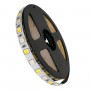 GLOBOSTAR® PRISMA 70266 Ταινία LED 18W/m 1800lm/m 120° DC 24V IP20 72 x SMD5050 Chip/m Πολύχρωμο RGBW+WW Dimmable - Sanan SMD Chip - Μ500 x Π1 x Υ0.2cm - Ρολό 5 Μέτρων - 5 Χρόνια Εγγύηση