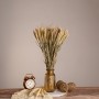GloboStar® PENNISETUM 36503 Αποξηραμένο Φυτό Πεννήσιο - Μπουκέτο Διακοσμητικών Κλαδιών Μπεζ - Πράσινο Υ60cm - Σετ 100 τμχ
