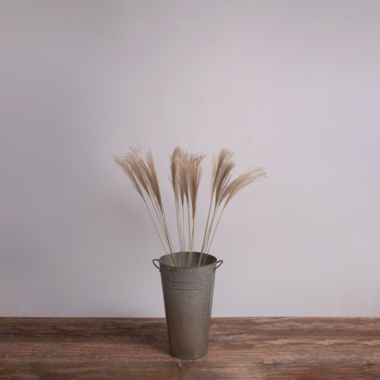GLOBOSTAR® MISCANTHUS 36537 Αποξηραμένο Διακοσμητικό Μπουκέτο Μίσχανθος - Μπεζ - Μ20 x Π20 x Υ100cm - Πακέτο 20 Τεμαχίων