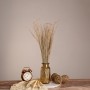 GloboStar® SILVERHAIRGRASS 36545 Αποξηραμένο Φυτό Ασημένια Χλόη - Μπουκέτο Διακοσμητικών Κλαδιών Μπεζ Υ60cm - Σετ 100 τμχ
