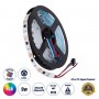 GLOBOSTAR® DIGIPRO 90599 Ψηφιακή Pixel Addressable Ταινία LED 9W/m 540lm/m 120° DC 12V IP20 30 x SMD5050 Chip/m 30 x Pixel/m RGB Dimmable SPI/TTL Protocol IC TM1908 - Sanan SMD Chip - Μ500 x Π1 x Υ0.2cm - Ρολό 5 Μέτρων - 5 Χρόνια Εγγύηση