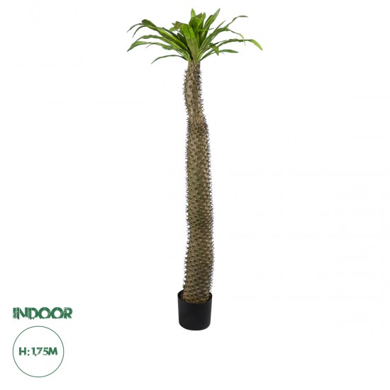 GloboStar® Artificial Garden PACHYPODIUM LAMEREI PALM TREE 20130 Τεχνητό Διακοσμητικό Φυτό Φοίνικας της Μαγαδασκάρης Υ175cm