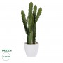 GloboStar® Artificial Garden CEREUS JAMACARU CACTUS 20099 Τεχνητό Διακοσμητικό Φυτό Κάκτος Κηρίος Υ66cm