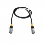 GLOBOSTAR® 41038 Καλώδιο Σύνδεσης Σήματος CAT6 Ethercon για Οθόνες LED Video Wall Αδιάβροχο IP65 - Μ125 x Π2.1 x Υ2.1cm
