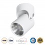 GLOBOSTAR® DETRONIC 60501 Κινούμενο Downlight Σποτ LED 10W 1300lm 24° AC 220-240V IP20 Φυσικό Λευκό 4500K - Bridgelux COB Chip & TÜV SÜD Driver - Λευκό Ματ - Μ9 x Π9 x Υ16cm - 5 Χρόνια Εγγύηση