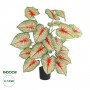 GloboStar® Artificial Garden CALADIUM PLANT 20921 Διακοσμητικό Φυτό Καλάντιουμ Φ75 x Υ80cm