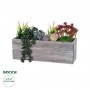 GloboStar® Artificial Garden SUCCULENT VARIUS PLANT POTTED 21033 Διακοσμητικό Φυτό Μίξ Μ29 x Π10 x Υ18cm
