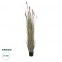 GloboStar® Artificial Garden BROWN LAGURUS 21103 Διακοσμητικό Φυτό Καφέ Λαγοουρά Υ180cm