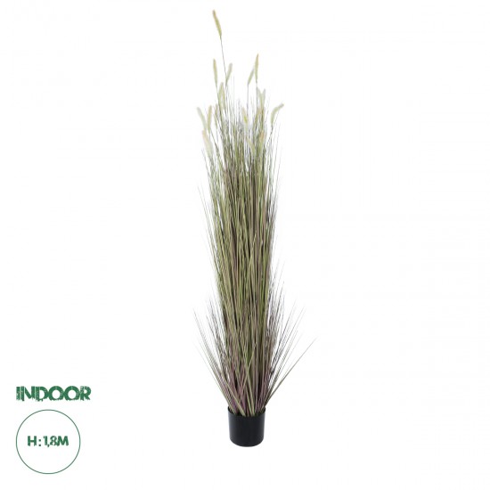 GloboStar® Artificial Garden BEIGE LAGURUS 21104 Διακοσμητικό Φυτό Μπεζ Λαγοουρά Υ180cm