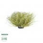 GloboStar® Artificial Garden GRASS BUSH PLANT 21166 Τεχνητό Διακοσμητικό Φυτό Θάμνος Grass Π50cm Y30cm