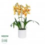 GloboStar® Artificial Garden YELLOW CHERRY CUMBIDIUM 21401 Διακοσμητικό Φυτό Κίτρινο Κυμβίδιο Υ60cm